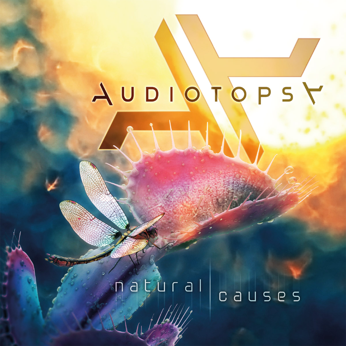 Audiotopsy Natural Causes