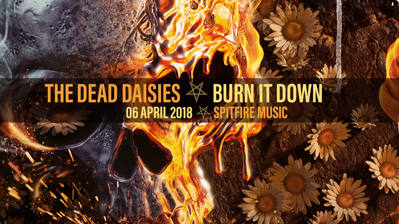 dead daisies