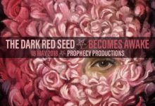 Dark Red Seed