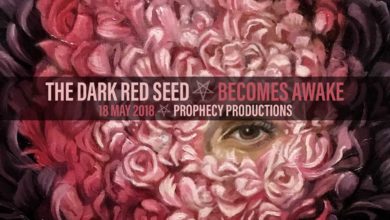 Dark Red Seed