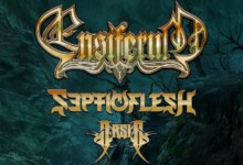 ensiferum