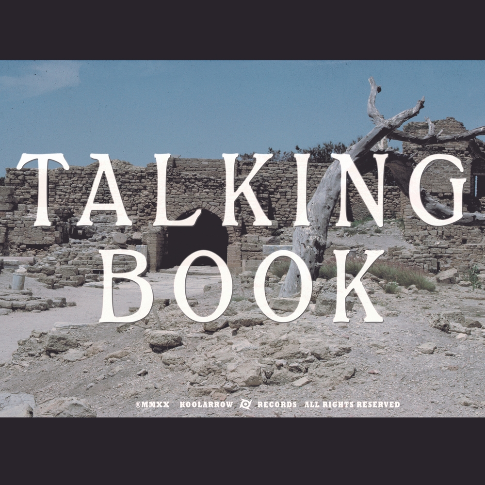 Talking Book