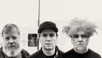 melvins