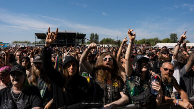 Bloodstock