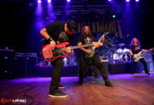 Metal Allegiance