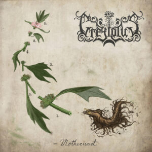 Greylotus - Motherwort album cover.