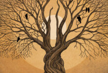 August Burns Red